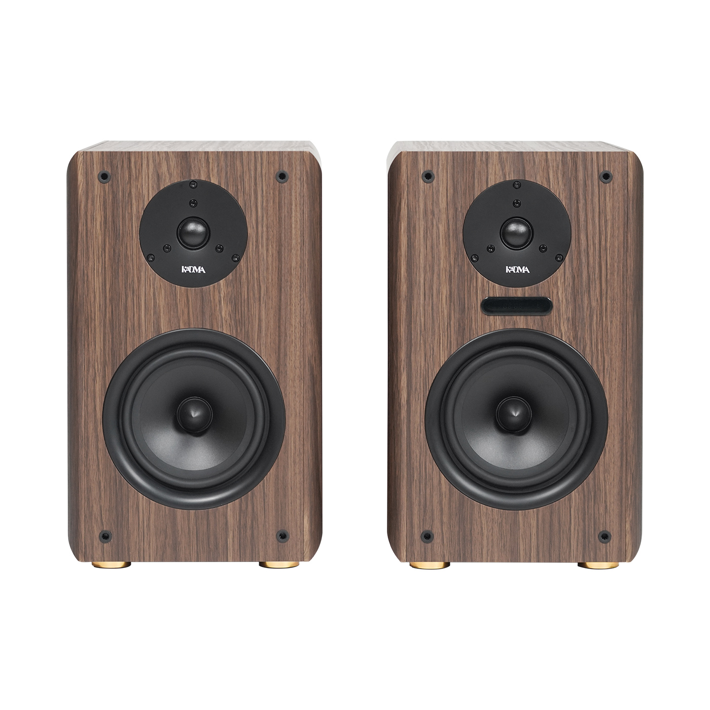 Loa Kadma BS36i