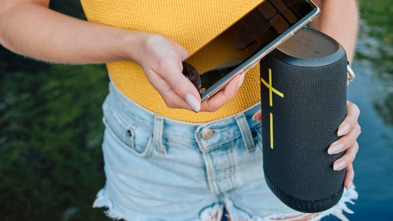 Loa Ultimate Ears EverBoom