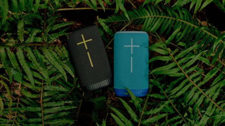 Loa Ultimate Ears EverBoom