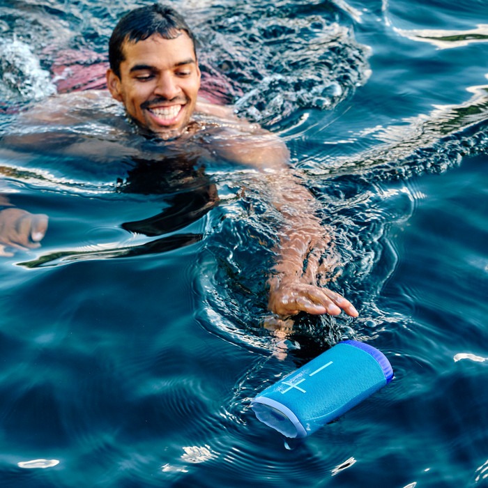 Loa Ultimate Ears EVERBOOM