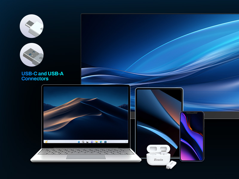USB Biwin UD400