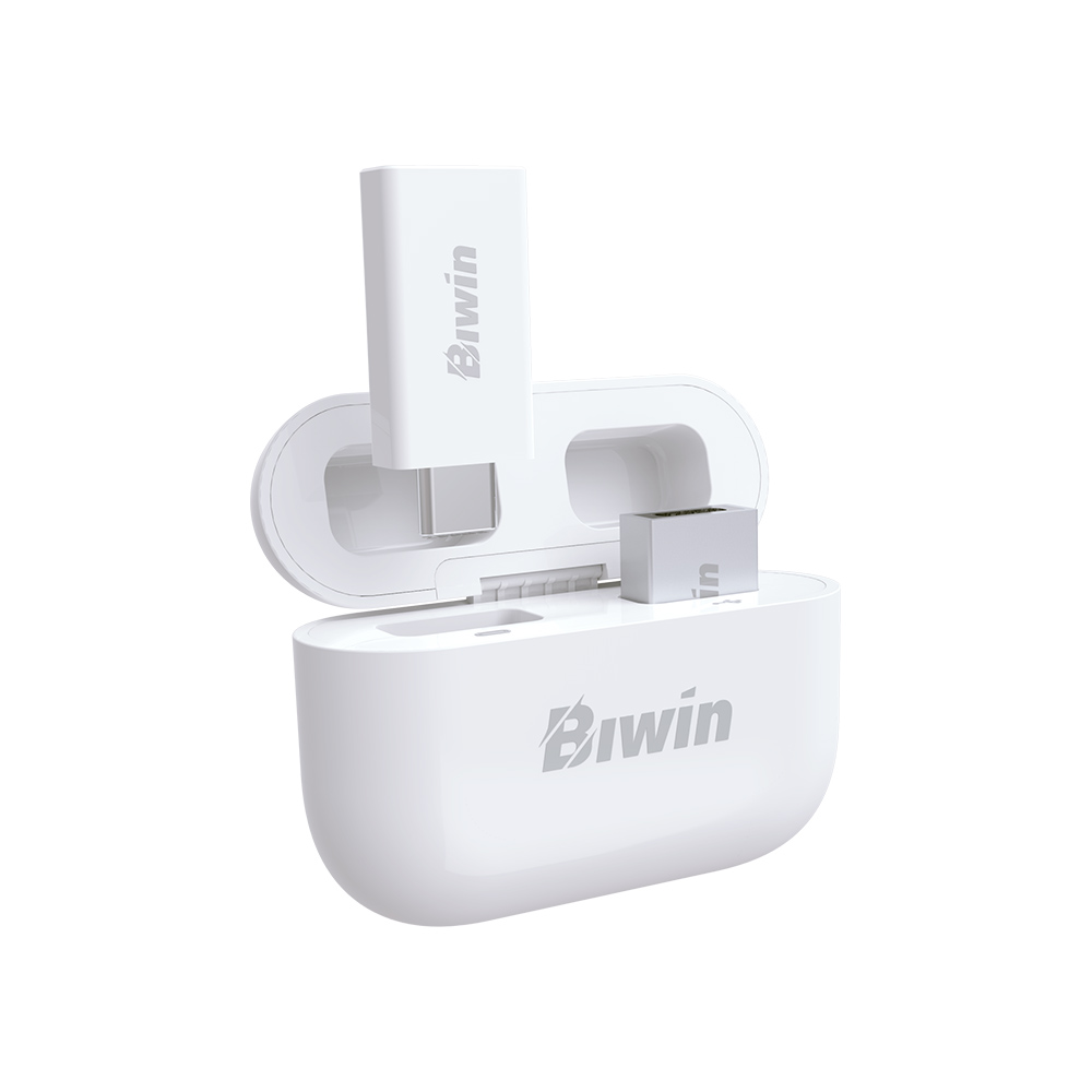 USB Biwin UD400