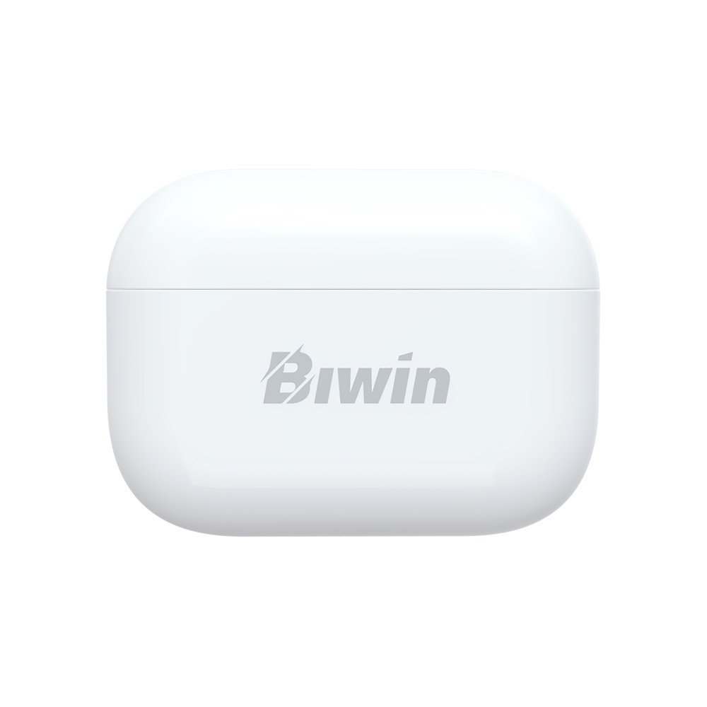 USB Biwin UD400