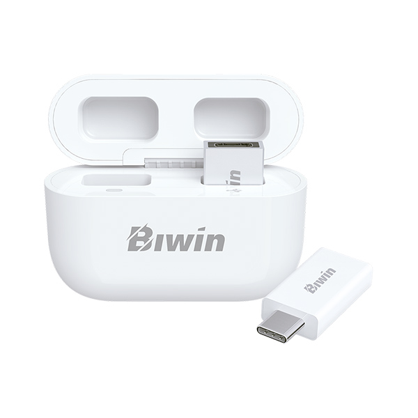 USB Biwin UD400 256GB